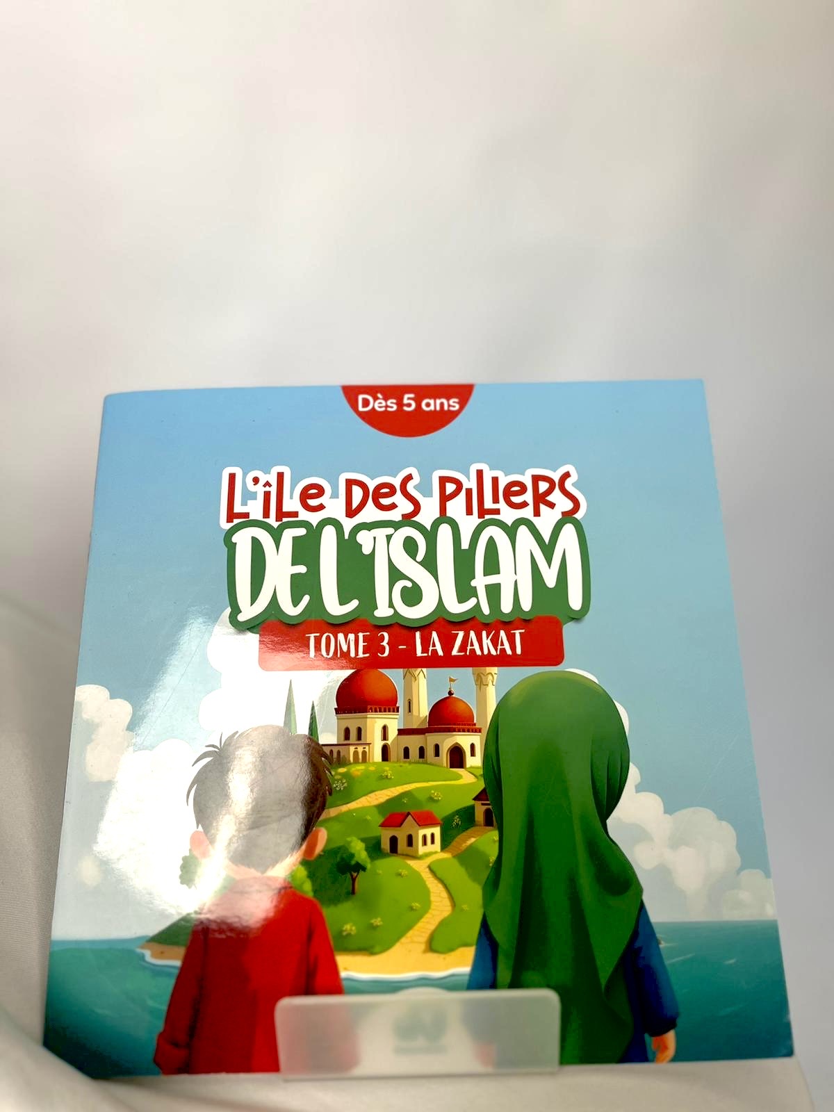 L’île des piliers de l’islam : la zakat - QalamKidz